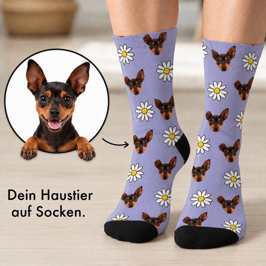 Personalisierte Socken mit lilafarbenem Hintergrund, bedruckt mit Hundegesichtern und Blumen.