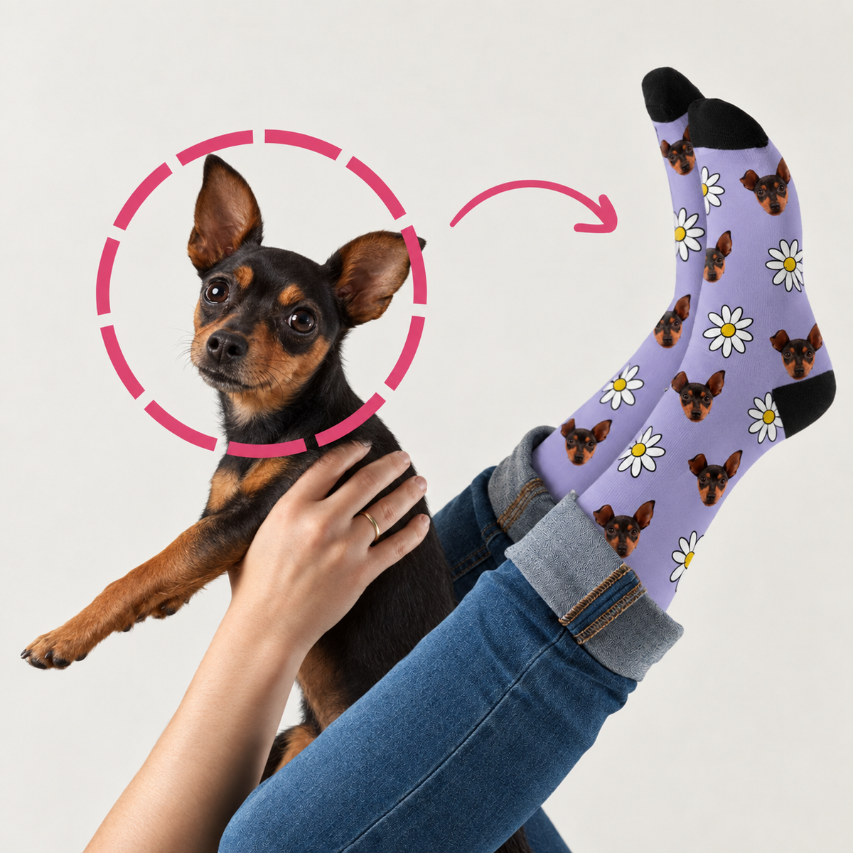Personalisierte Socken mit Hundemotiv auf lila Hintergrund, kombiniert mit Denim-Hose und lebendigem Hund.