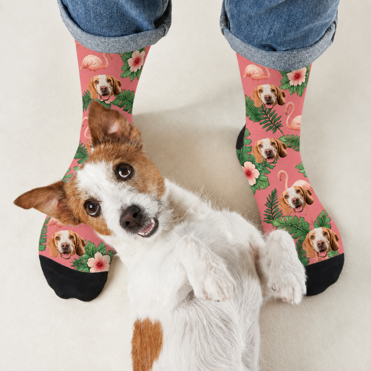 Personalisierte Socken mit Hundemotiven und Flamingos auf rosa Hintergrund, schwarz abgesetzt.