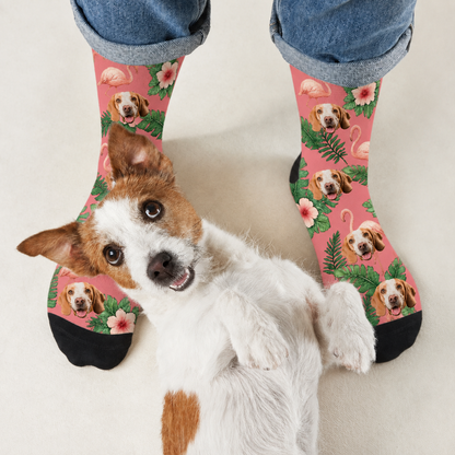 Personalisierte Socken mit Hundemotiven und Flamingos auf rosa Hintergrund, schwarz abgesetzt.