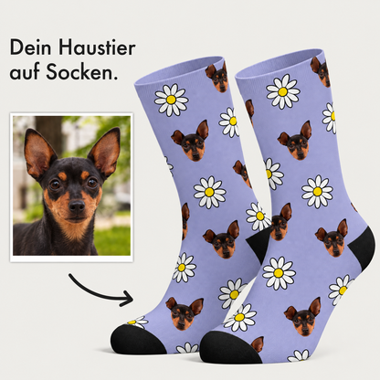 Personalisierte Socken mit lila Hintergrund, Blumenmuster und Hundegesichtern. Baumwollmaterial.