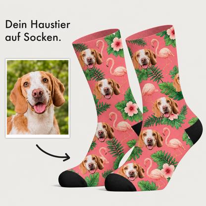 Personalisierte Socken mit Hundemotiv, pinkem Hintergrund und tropischen Blüten.
