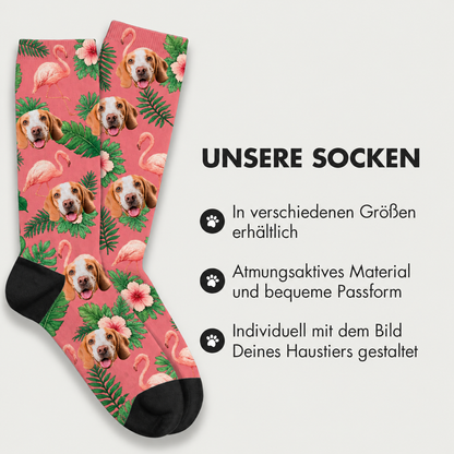 Personalisierte Socken mit buntem Vogel- und Haustiermotiv auf pinkem Hintergrund, aus atmungsaktivem Material.