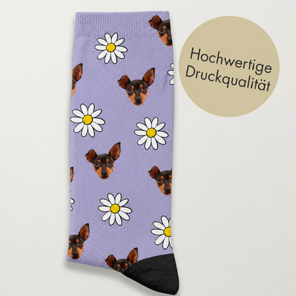 Personalisierte Socken in lila mit Hundemotiv und Margeriten, hochwertige Druckqualität.