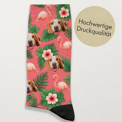 Socken in koralle mit Hundegesichtern, Flamingos und tropischen Pflanzenmotiven. Hochwertige Druckqualität.