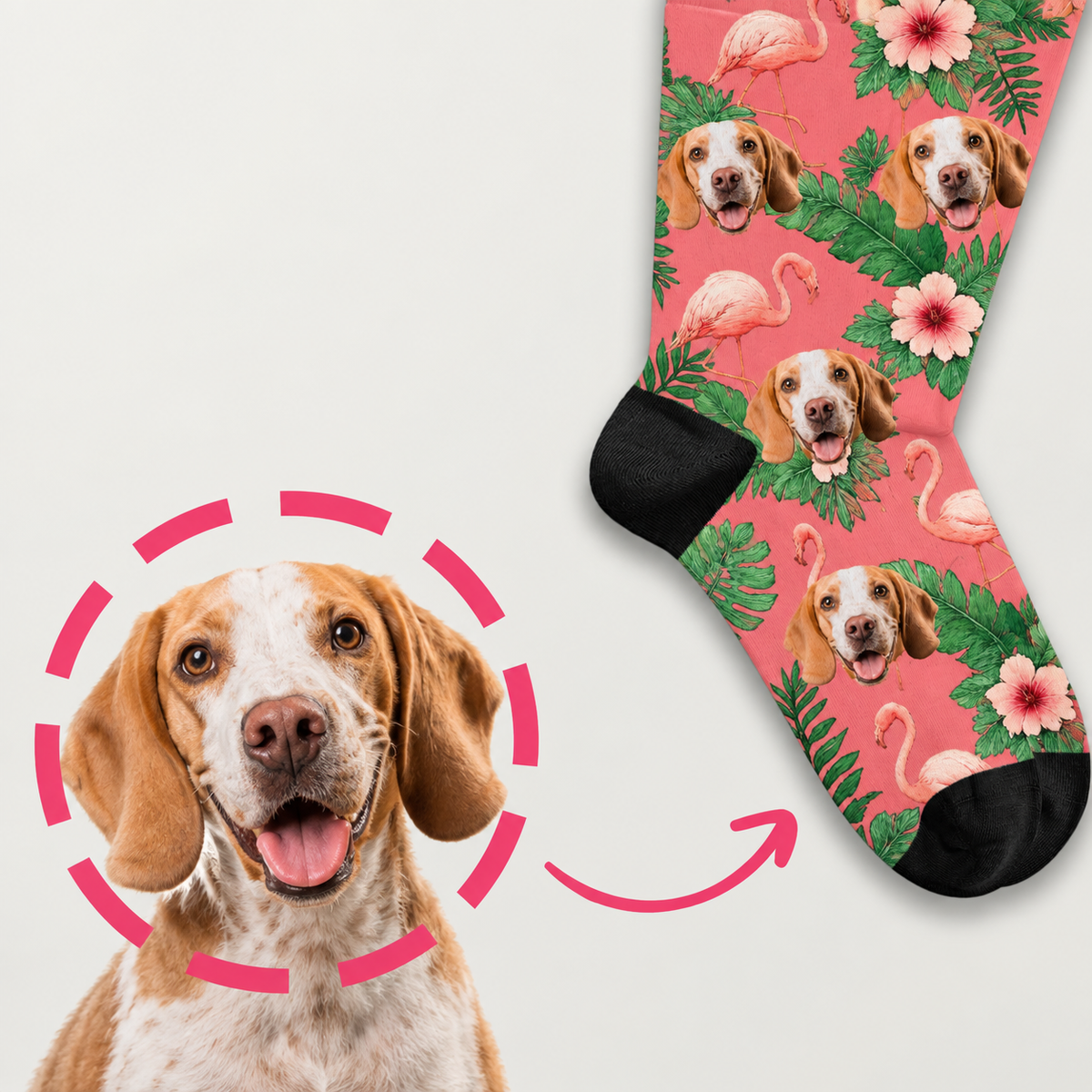 Personalisierte Socken mit buntem Paradiesvogel-Muster und Hunden. Farbige florale Motive auf rosa Hintergrund.