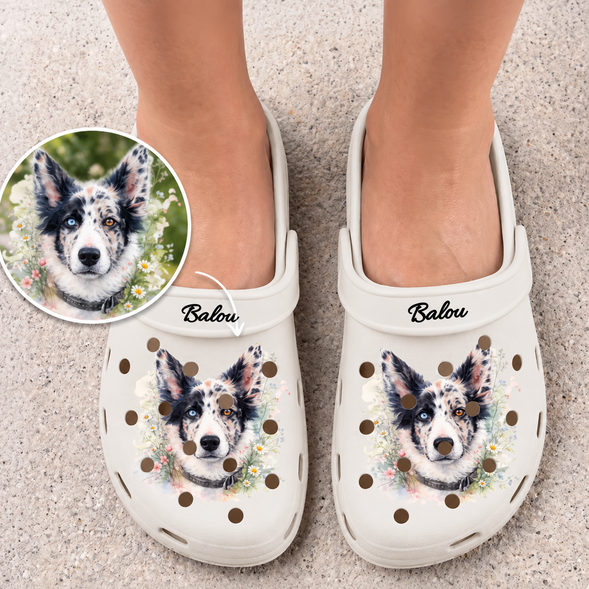 Personalisierte Clogs in Creme mit Aquarell-Druck eines Hundes und dem Namen „Balou“.