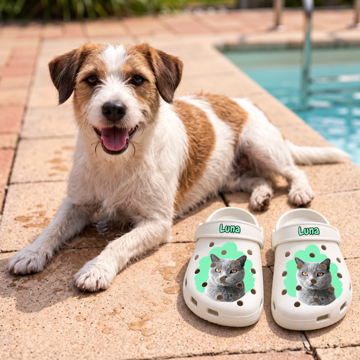 Personalisierte Clogs mit Katzenportrait in Grau und Grün neben einem Hund am Pool.