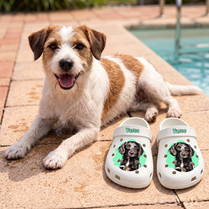 Personalisierte Clogs mit Haustierportrait, weiß mit Hundebild und grünen Akzenten, auf einem Steinboden neben einem Hund.