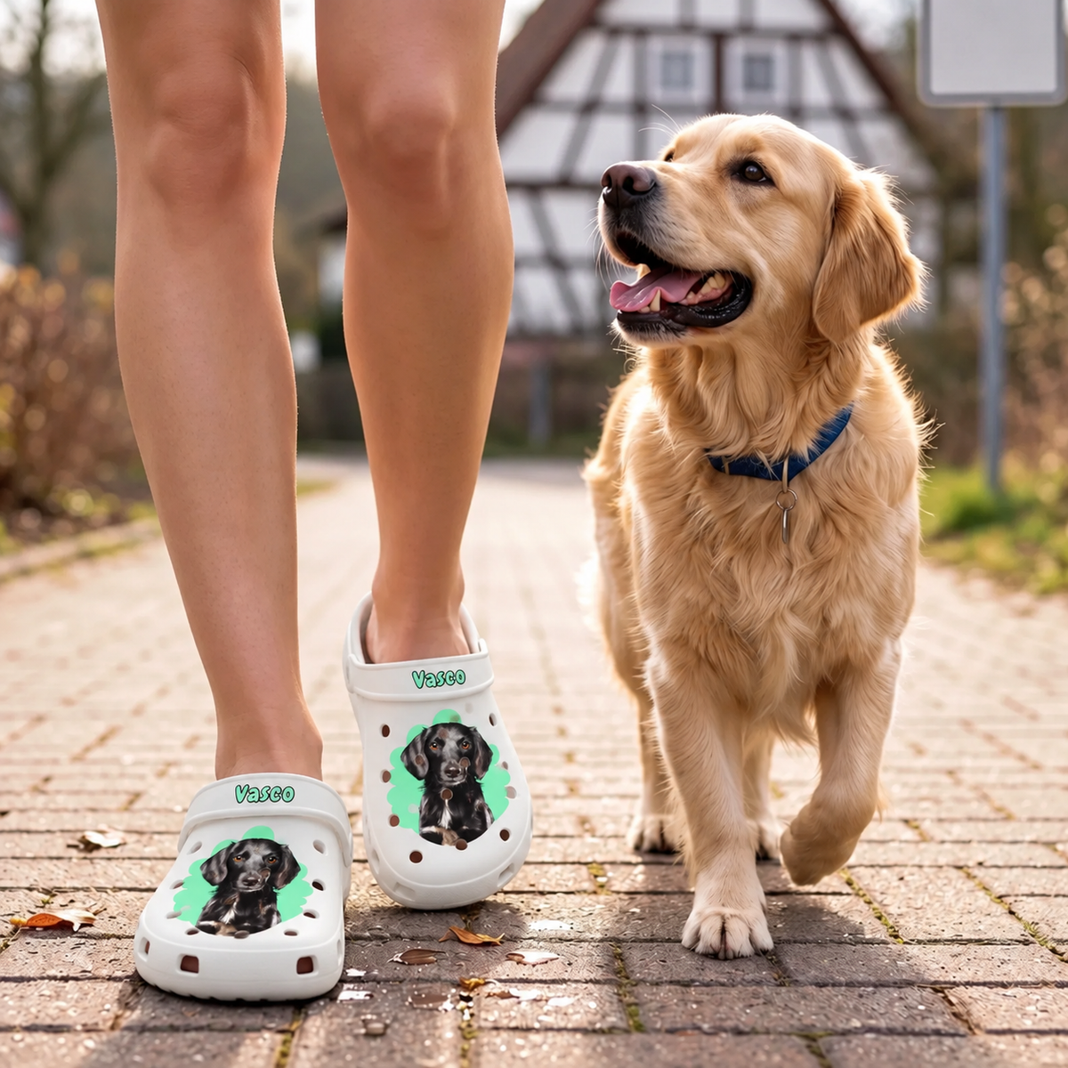 Person trägt personalisierte weiße Clogs mit Haustierportrait auf dem Weg mit goldenem Retriever.