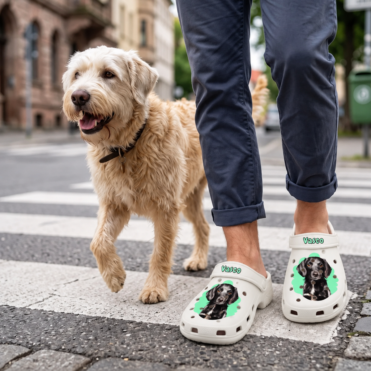 Personalisierte weiße Clogs mit Haustierportrait und buntem Hintergrund, getragen von einer Person mit Hund.