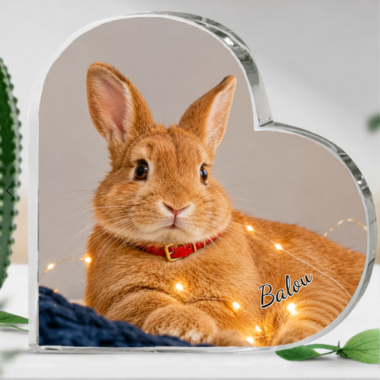 Personalisiertes Glasherz - Eigenes Foto